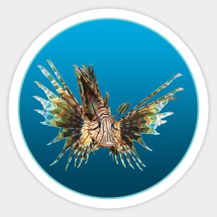 Lionfish | Floating Fish on a blue background in a circle | Sticker